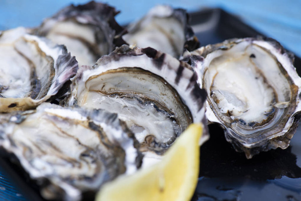 Closeup of large fresh shucked oysters with a blue background. - Photo, Image