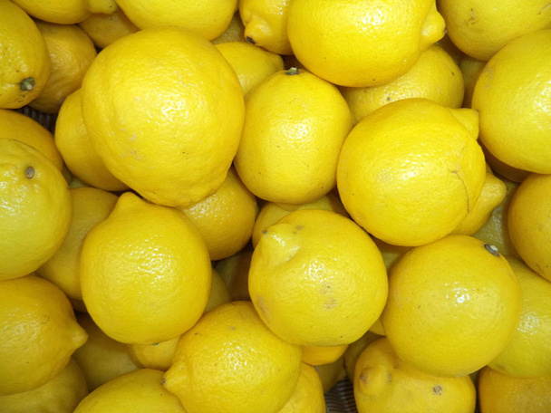  harvest of ripe fresh lemons - 写真・画像