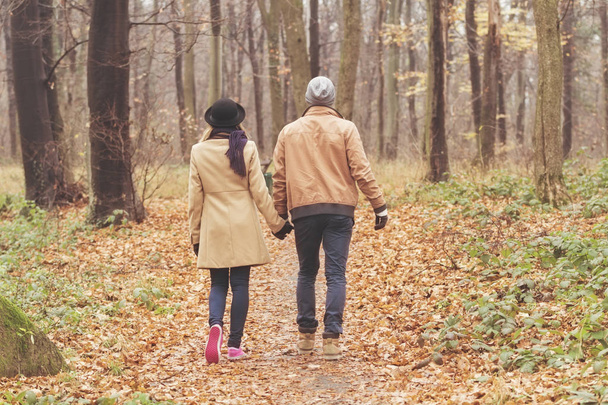 Couple in park filled with autumn colors. - Fotografie, Obrázek