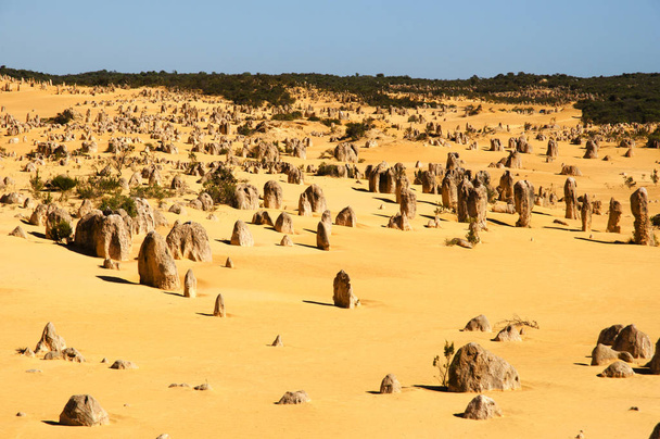 De pinakels - West-Australië - Foto, afbeelding