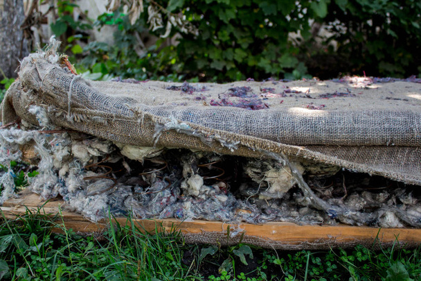 eski oturma grubu bir bahar - Fotoğraf, Görsel