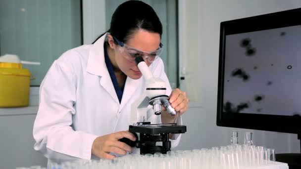 Scientific Research - Filmmaterial, Video