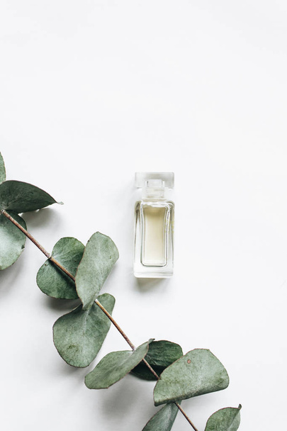 parfum fles en eucalyptus takje op witte achtergrond, plat leggen  - Foto, afbeelding