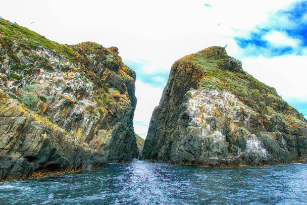 Cape Haüy, Parco nazionale penisola di Tasman, Tasmania, Australia - Foto, immagini
