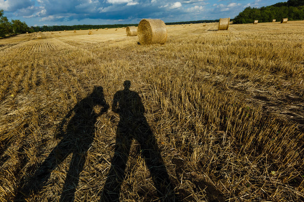 人の影。空と農業分野。農地の田園性質は。藁の上に牧草地。夏に黄色い小麦ゴールデンハー ベスト. - 写真・画像