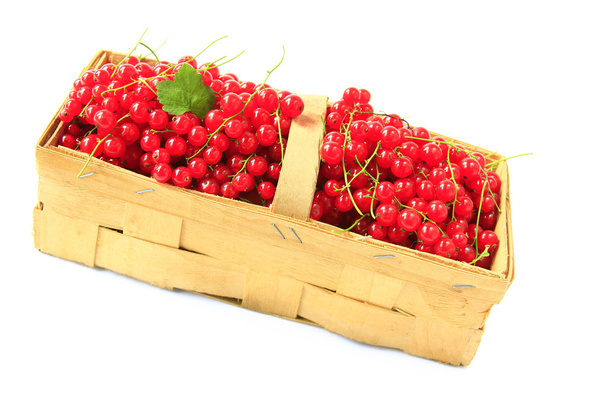 Red currants - Photo, Image