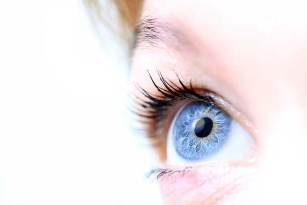Olho azul - Foto, Imagem