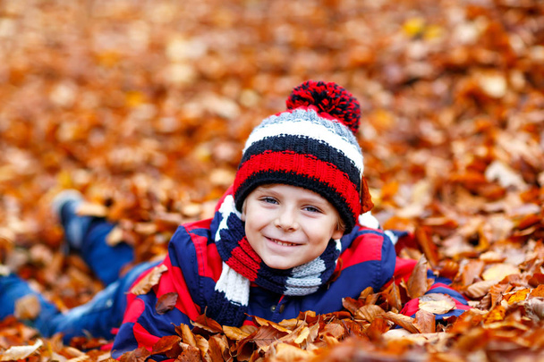 carino bambino ragazzo su autunno lascia sfondo in parco. - Foto, immagini