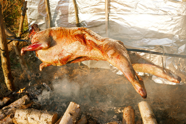 lamb on the spit over open fire - Photo, Image
