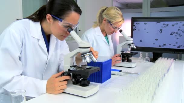 Female Medical Researchers - Footage, Video