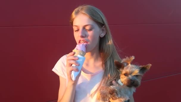 Girl teen eating ice cream and keeps the dog on hand on the red background - Footage, Video