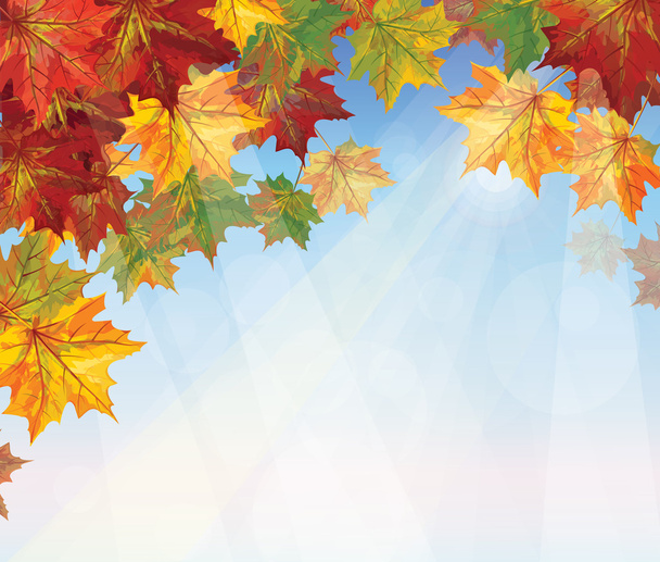 vector van herfst bladeren op blauwe hemelachtergrond. - Vector, afbeelding