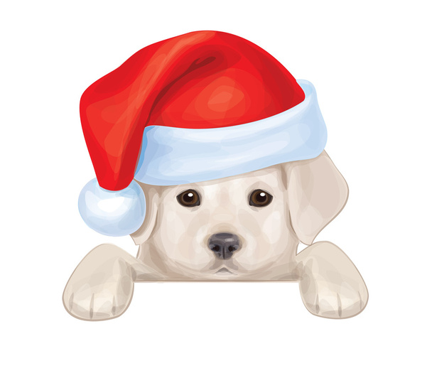 Vettore di cucciolo carino in cappello Babbo Natale nascosto da vuoto
. - Vettoriali, immagini