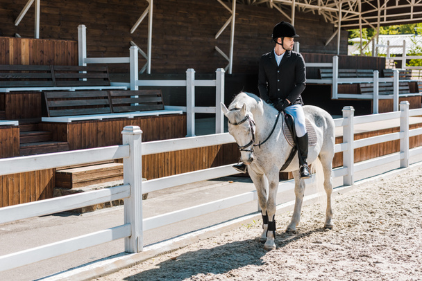 handsome male equestrian riding horse at horse club - Photo, Image