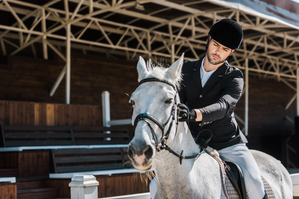 handsome male equestrian riding and palming horse at horse club  - Photo, Image