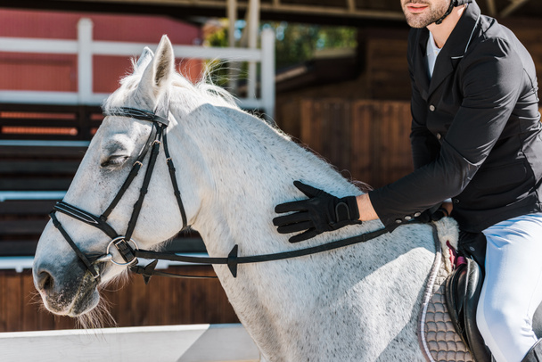 imagen recortada de equitación masculina y caballo de palma en el club de caballos
  - Foto, imagen