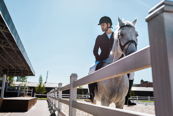 jóképű férfi lovas lovaglás ló klubban kerítés közelében - Fotó, kép