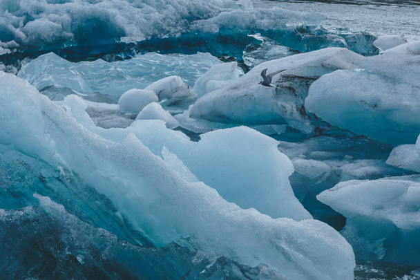 glaciar - Foto, imagen