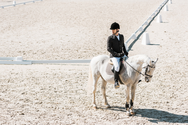sivunäkymä komea mies equestrian istuu hevosen selässä hevosklubilla
 - Valokuva, kuva