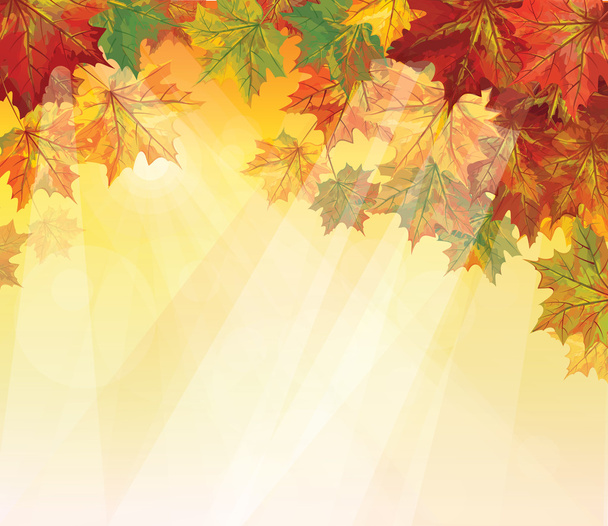 Vector of autumnal leaves on yellow background. - Vector, Image