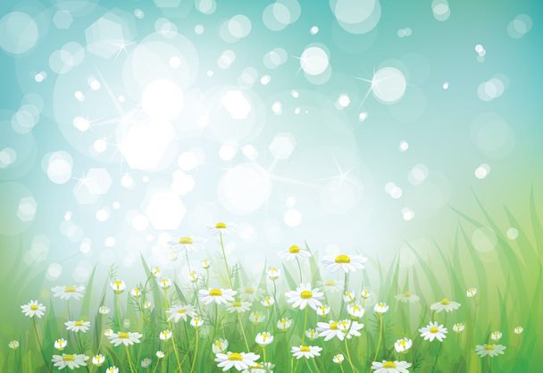 Vector of spring background - Vector, Image