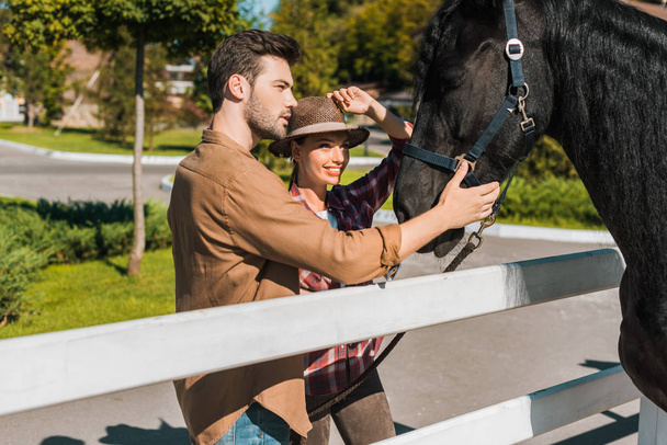 女性と男性の馬術の牧場で黒い馬をパーミング - 写真・画像