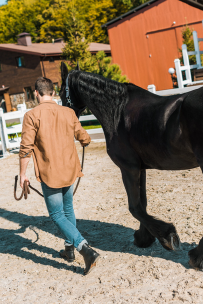 vista trasera del vaquero caminando con caballo en el club de caballos
 - Foto, Imagen
