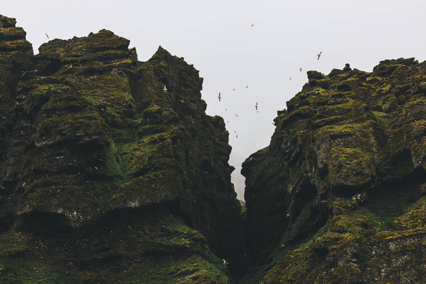alsó nézetében seagulls repülés körül mohás sziklák felhős ég Izland ellen - Fotó, kép