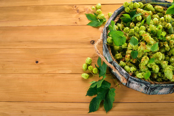 Fresh Hops in Wooden Box. On the old wooden background. Free space for text. Top view. - 写真・画像