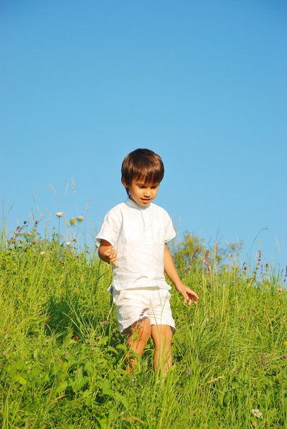 Happy unforgetable childhood on green meadow against blue sky - Valokuva, kuva