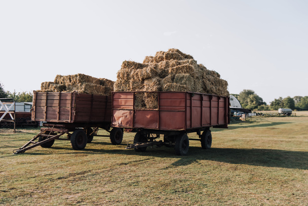 rural scene with two hindcarriage full of stacked hay at farm in countryside - Fotó, kép