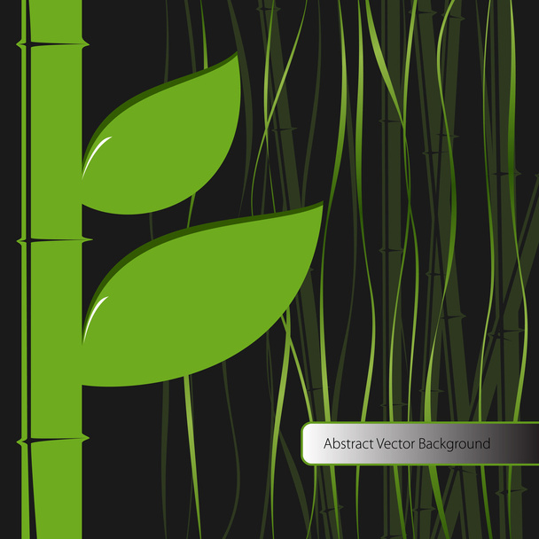 Green leaves bamboo. Vector illustration. - Vector, Image