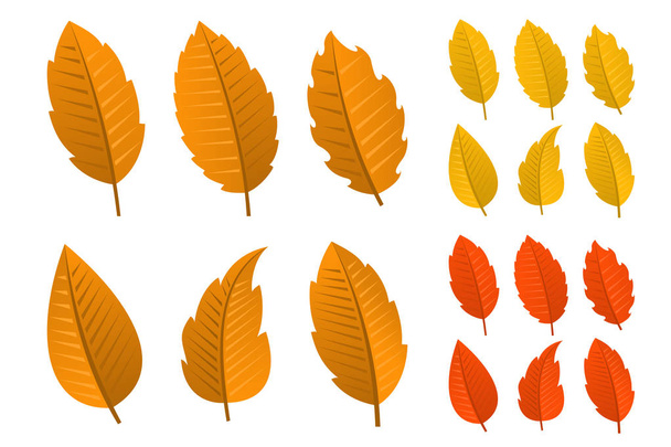Set of autumn leaves - Vector, Image