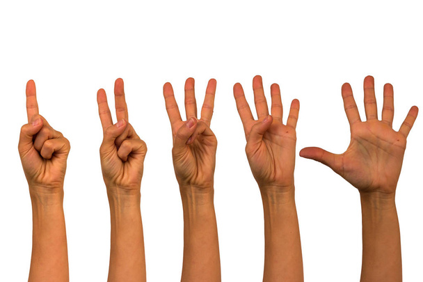 Isolierte Hände, die an den Fingern von eins bis fünf zählen - Foto, Bild