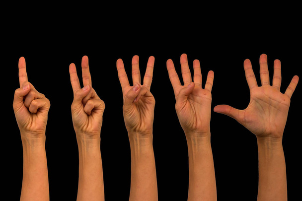 Isolats des mains comptant sur les doigts de un à cinq
 - Photo, image