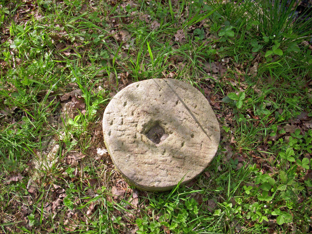 Very well worn millstone lying on the ground in woodland surrounded by grass. Could have been used to sharpen forestry tools. - Photo, Image