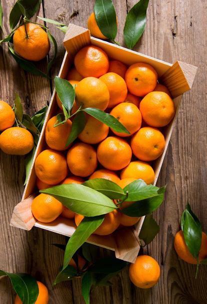 Zblízka pohled na čerstvě natrhané mandarinky - Fotografie, Obrázek