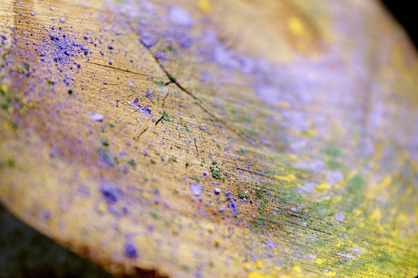 powder colors on sawed wood , close-up  - 写真・画像