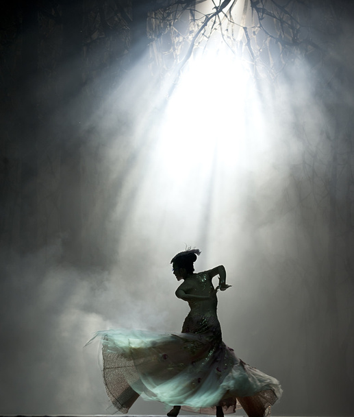 chinese famous dancer Yang Liping - Valokuva, kuva