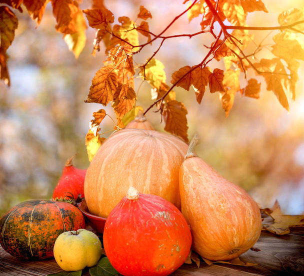 Cosecha de otoño en mesa, acción de gracias, frutas y verduras orgánicas de temporada
 - Foto, Imagen