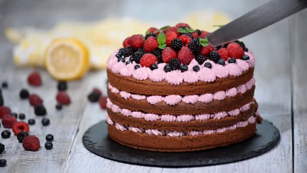 Chocolate cake with summer berries. Cutting chocolate cake - Footage, Video