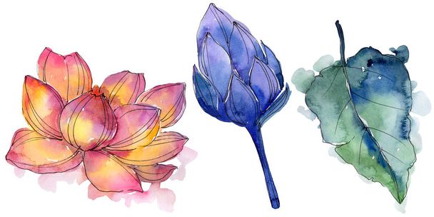 Vadvirág akvarell színes lótuszvirág. Virágos botanikai virág. Elszigetelt ábra elem. - Fotó, kép