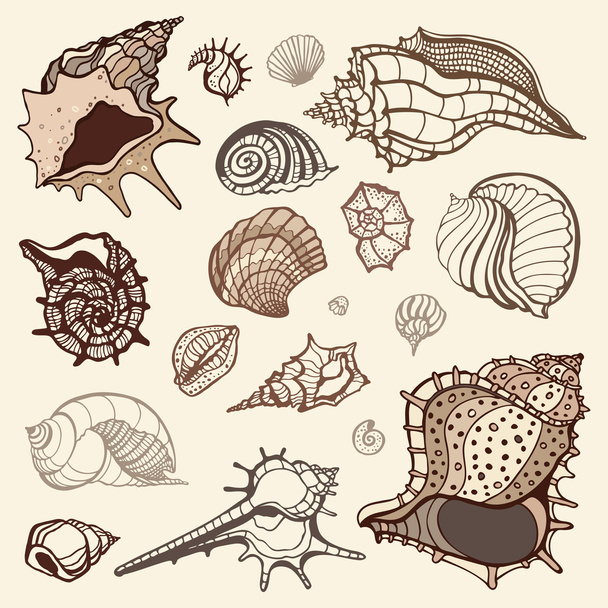 Sea collection. Hand drawn vector illustration - Vector, Imagen