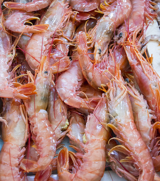 Текстура креветок, морепродукты (Gambas blancas de Isla Cristina, Уэльва
)  - Фото, изображение
