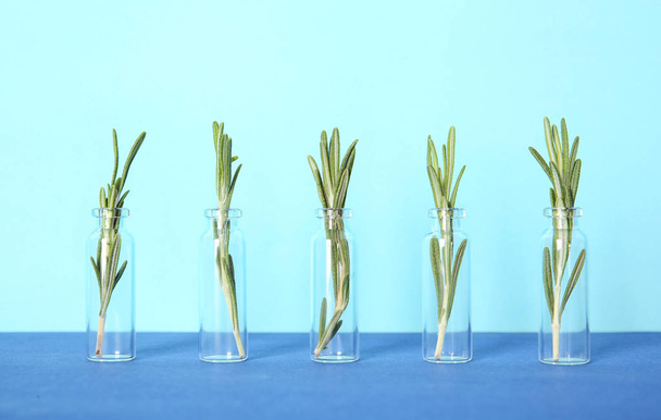 Row of glass bottles with rosemary on color background - Foto, imagen