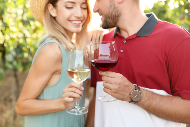 Friends holding glasses of wine and having fun on vineyard picnic - Foto, Imagen