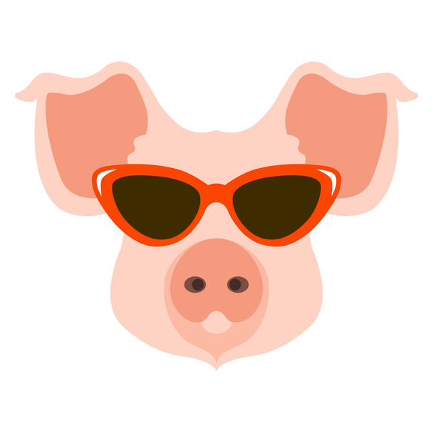 Schwein in der Brille Gesichtsvektor Illustration flach - Vektor, Bild
