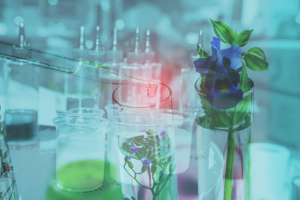 Double Exposition Pipette Tropfen über dem Reagenzglas auf Probe chemische in Kräuterpflanzen, Biotechnologie Medizin Forschungskonzept. - Foto, Bild