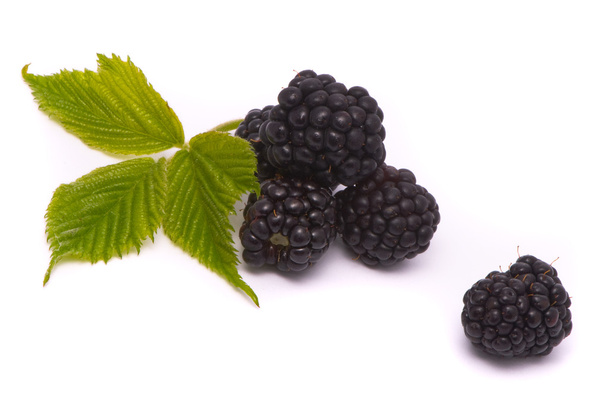 Beautiful blackberries - Foto, afbeelding