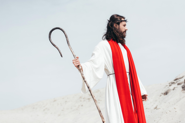 vista lateral de Jesús en túnica, faja roja y corona de espinas de pie con bastón de madera en el desierto
 - Foto, imagen